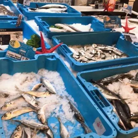 Apartment Luxury T2 *